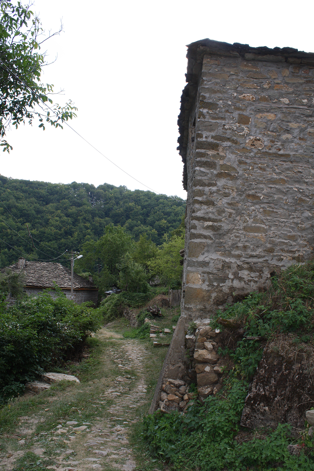 IMG_9311.JPG