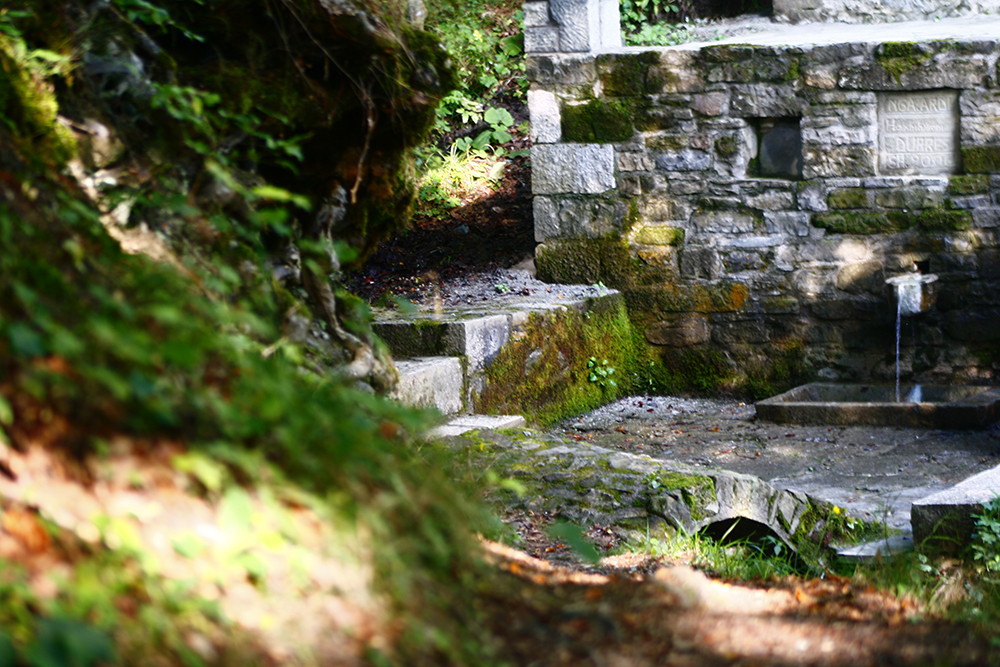 _MG_1036.JPG
