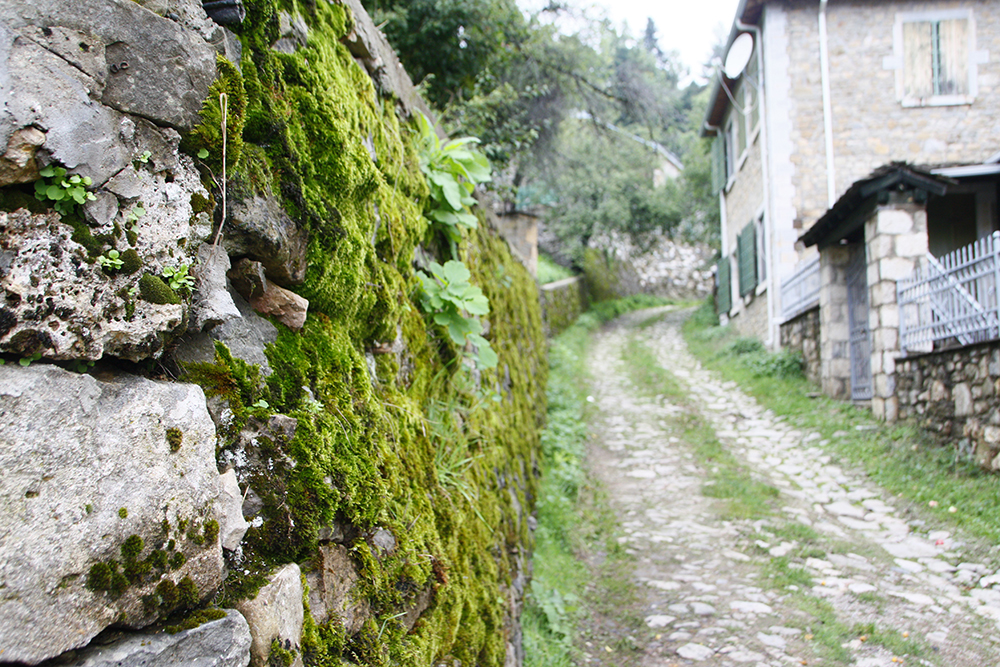 _MG_7224.JPG